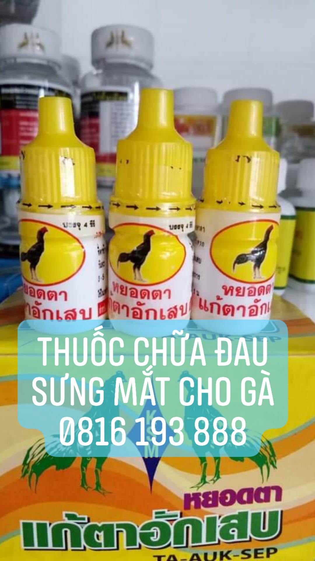 Thuốc gà đá nhỏ mắt vàng