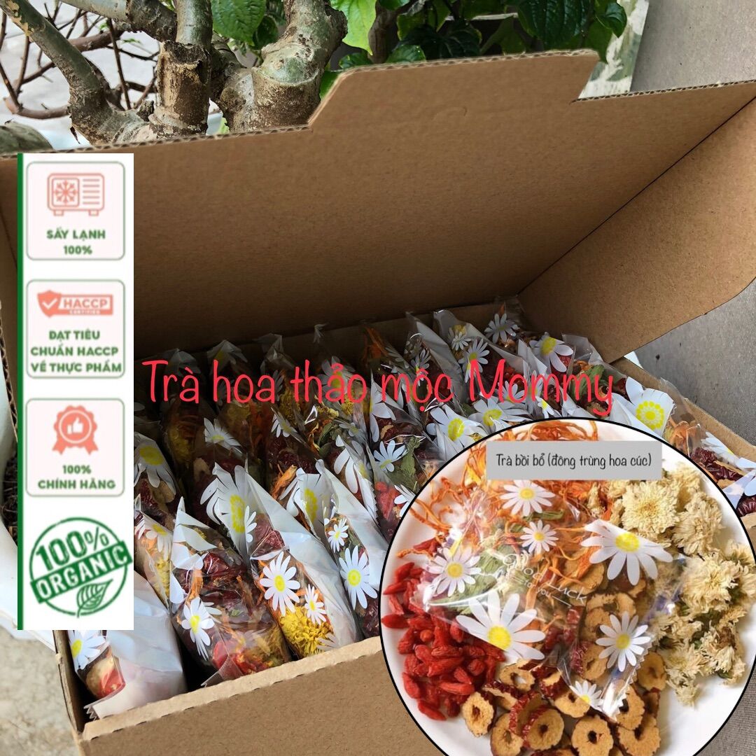 Hộp 30 gói trà hoa cúc đông trùng hạ thảo, đông trùng tứ vị