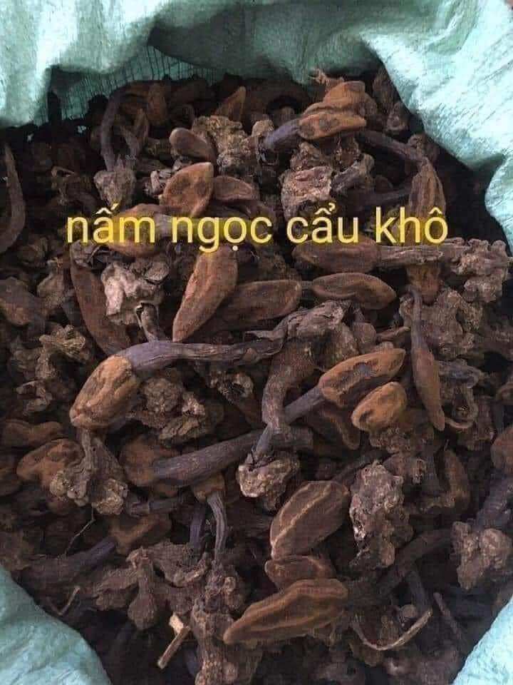 1kg nấm ngọc cẩu khô nguyên búp thơm nức