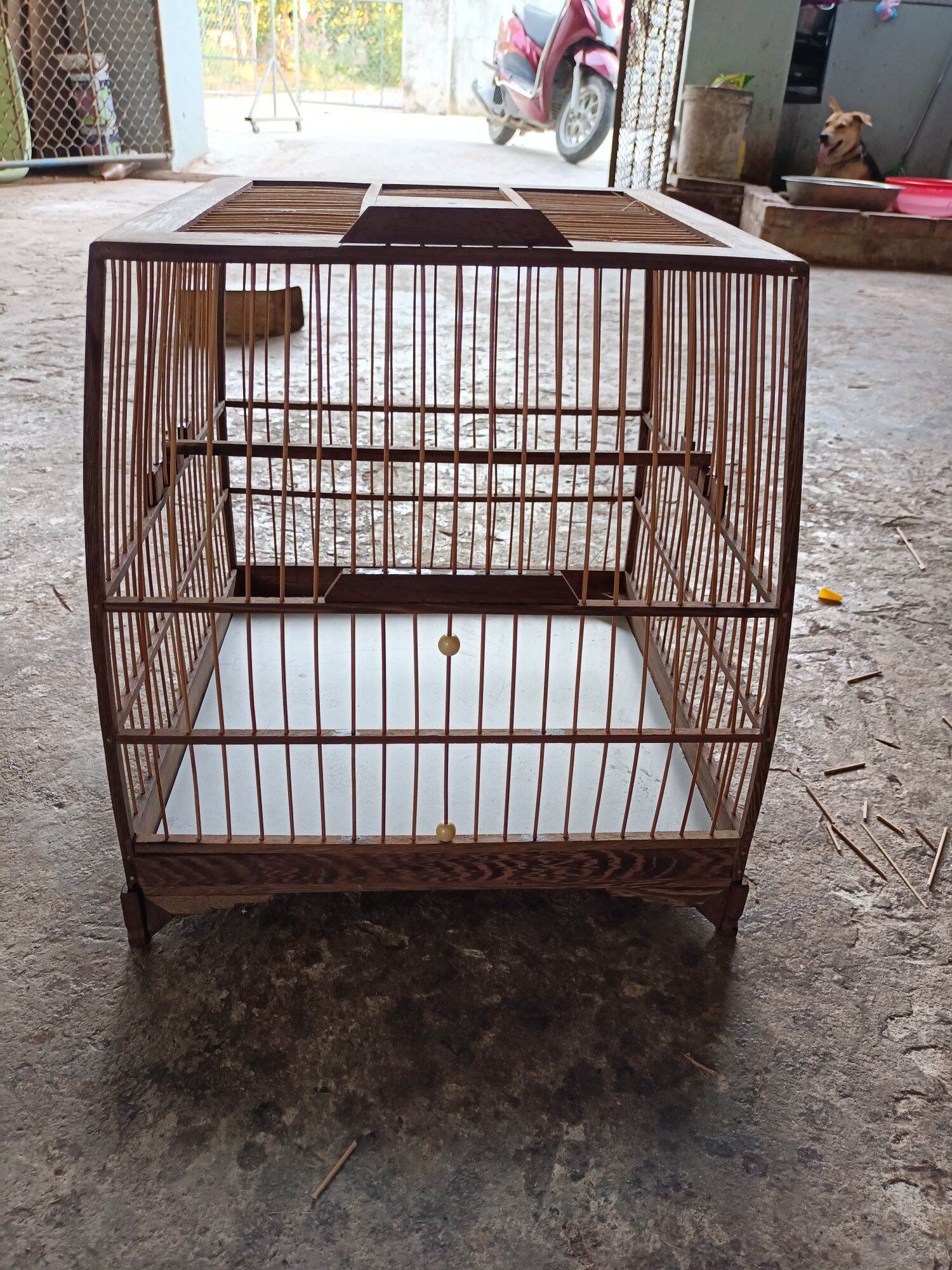 khung lồng chào mào mun thái đấu ( cao 37 rộng 37)nóc rộngn31x31