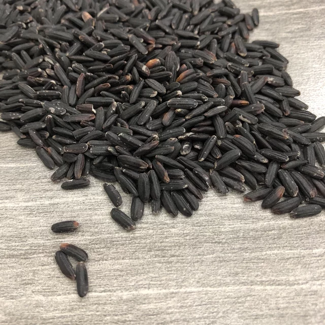 Hạt giống lúa nếp than, tím than túi 1kg