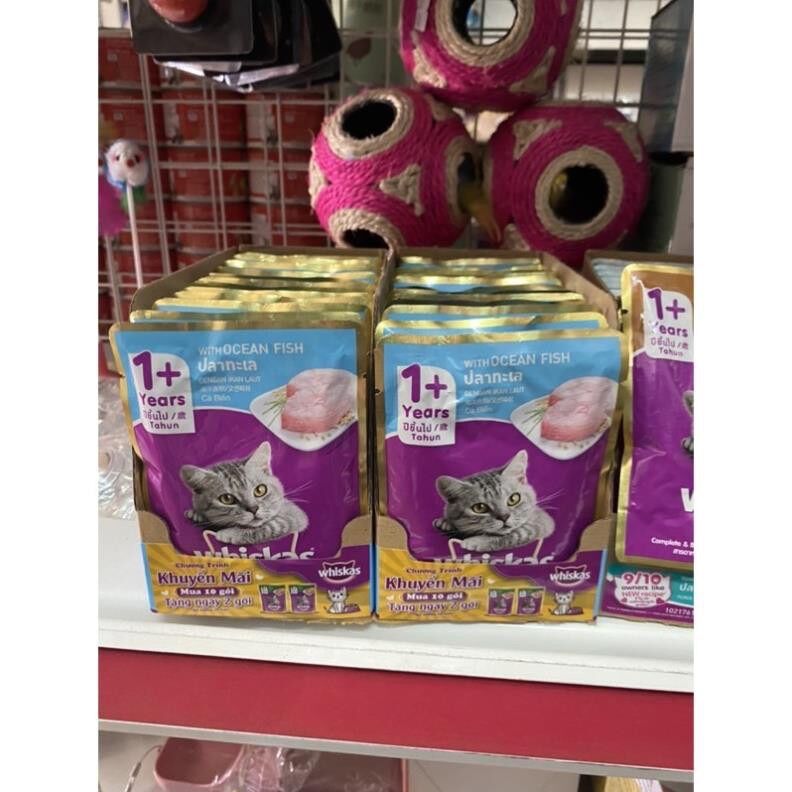 [HCM] Combo 12 gói Pate Whiskas cho mèo