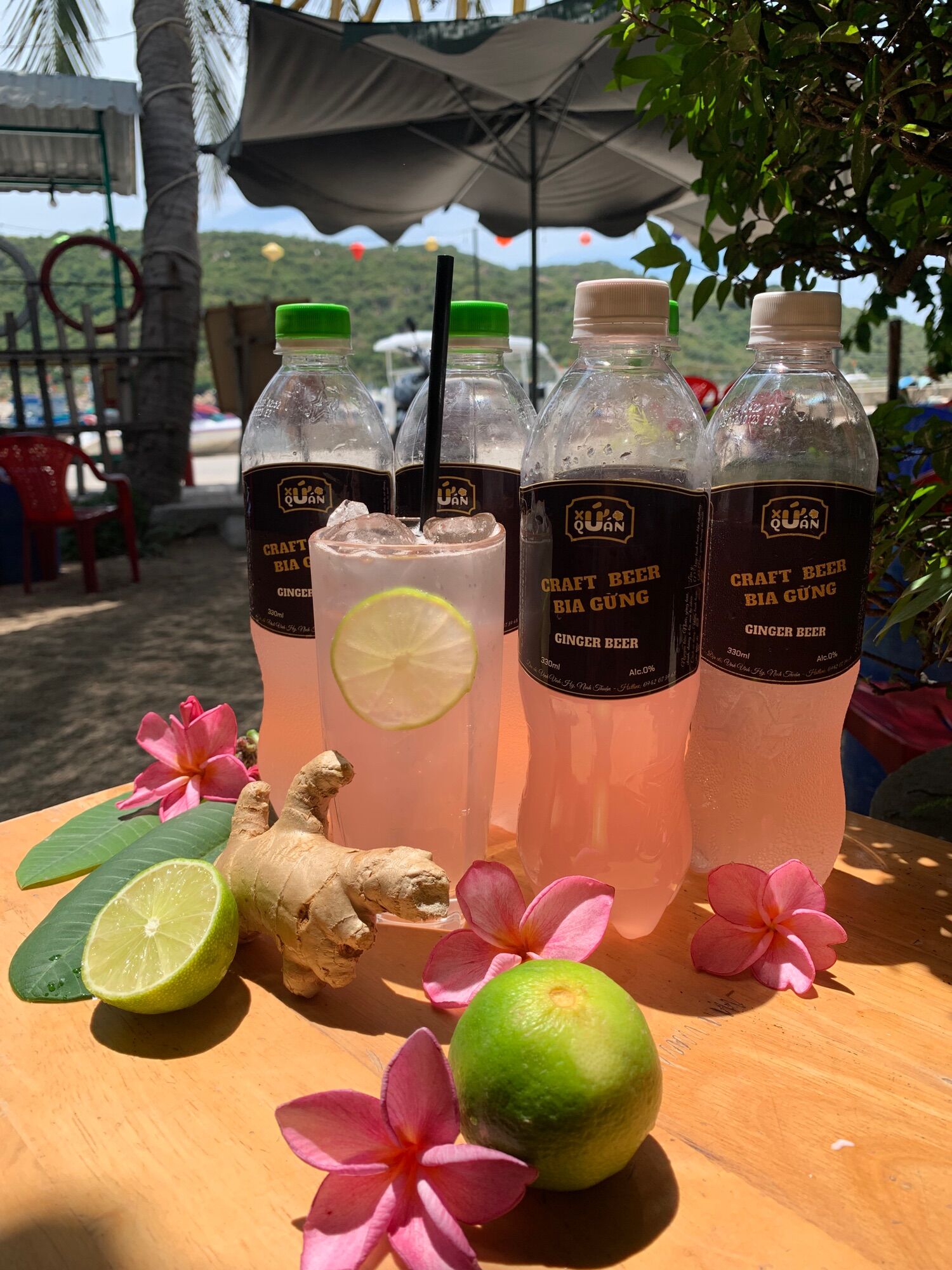 Bia gừng thủ công - Gingger bia không cồn