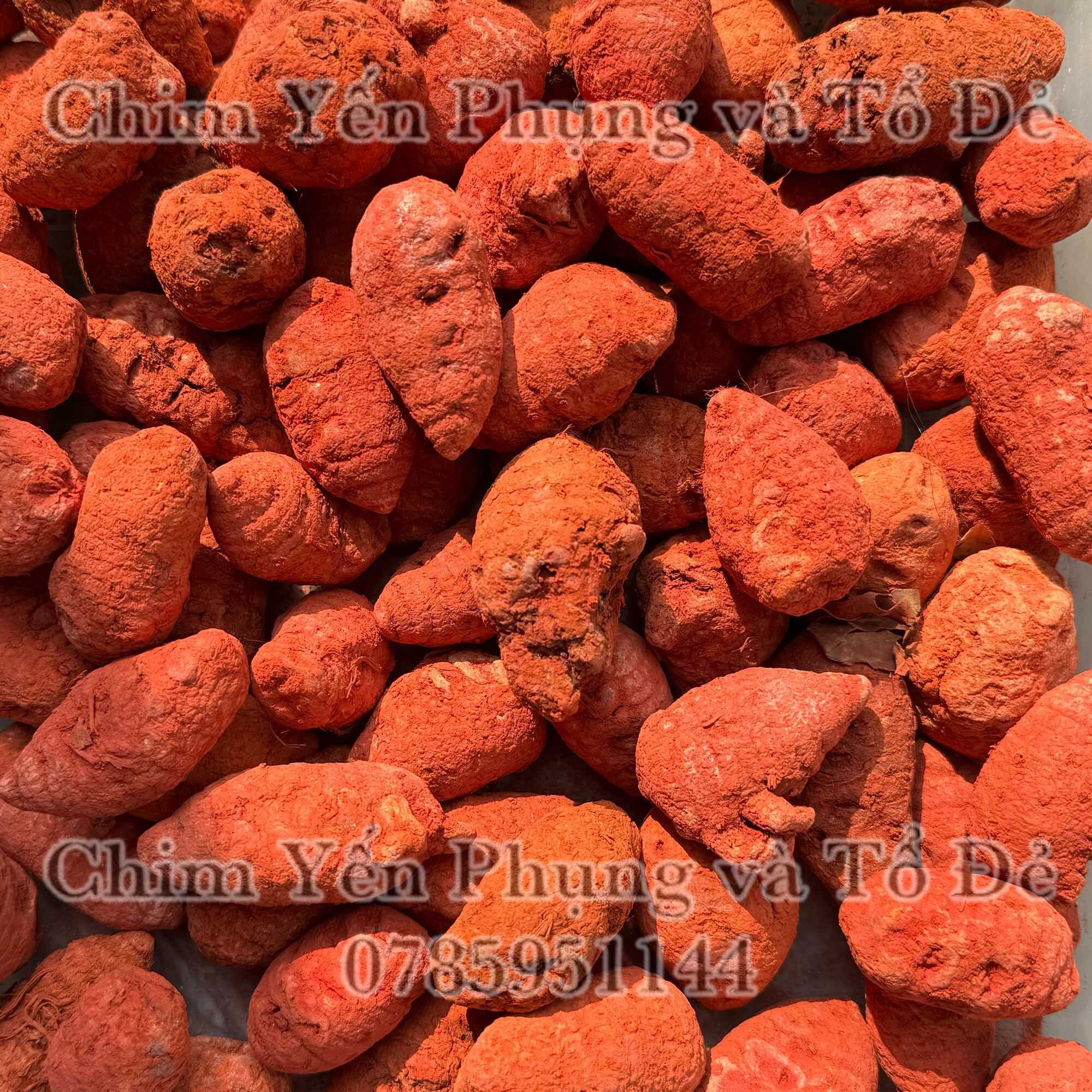 100gr Củ Nghệ đỏ cao cấp - Nghệ củ gà đá.
