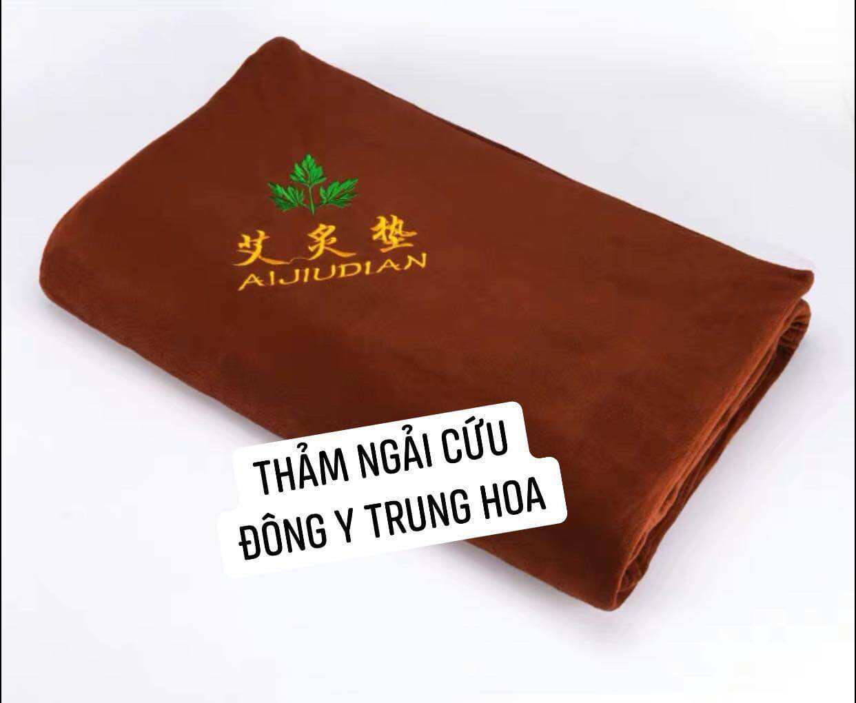 THẢM CẮM ĐIỆN NGẢI CỨU SIÊU ẤM MÙA ĐÔNG