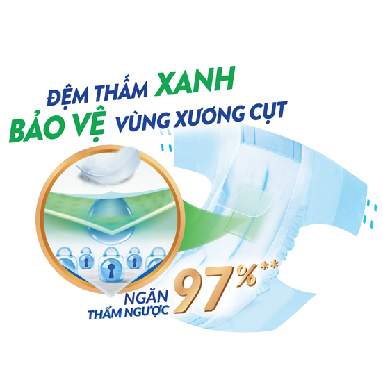 Tã dán Caryn người lớn XL20