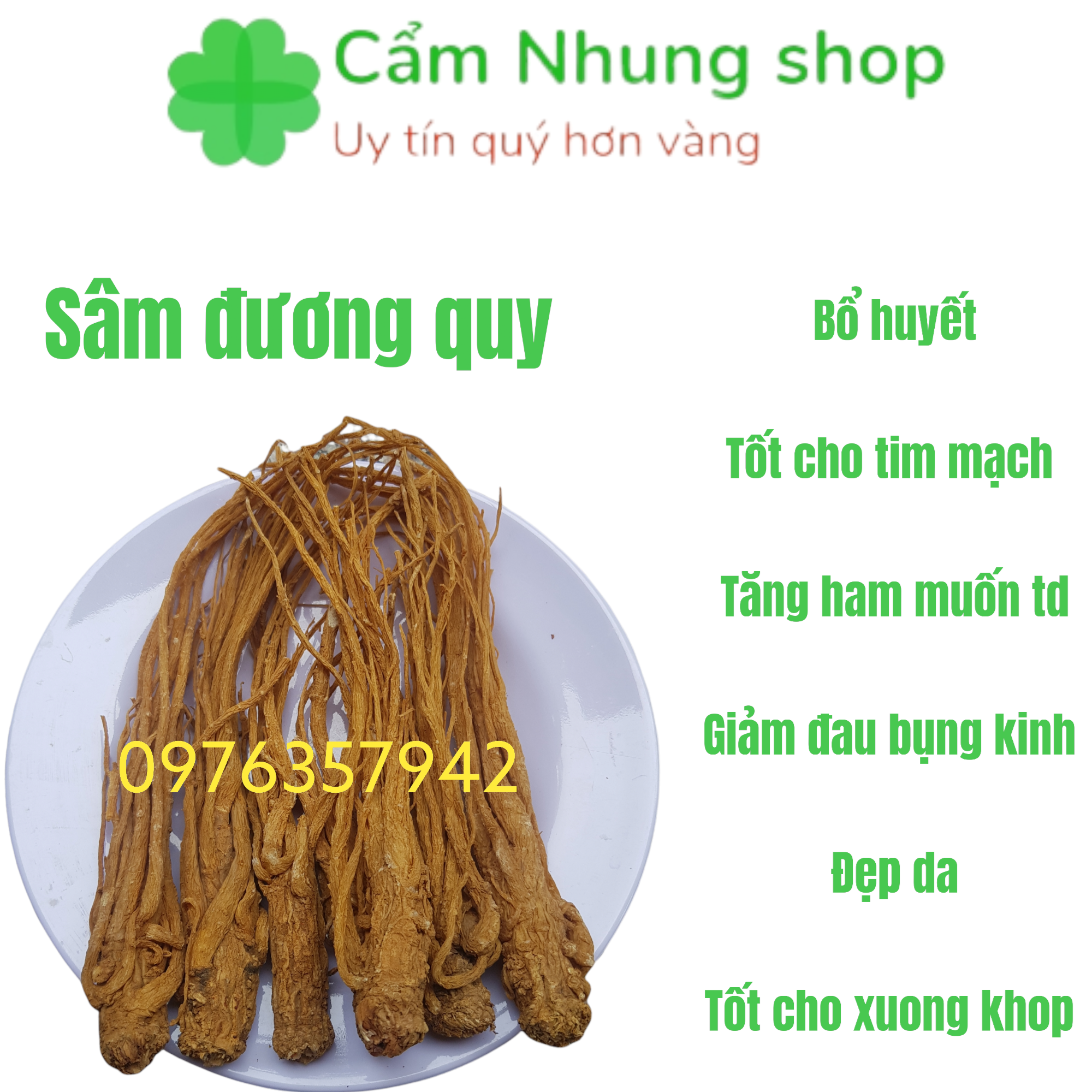 100gr Sâm đương quy khô ngâm ruou rất tốt
