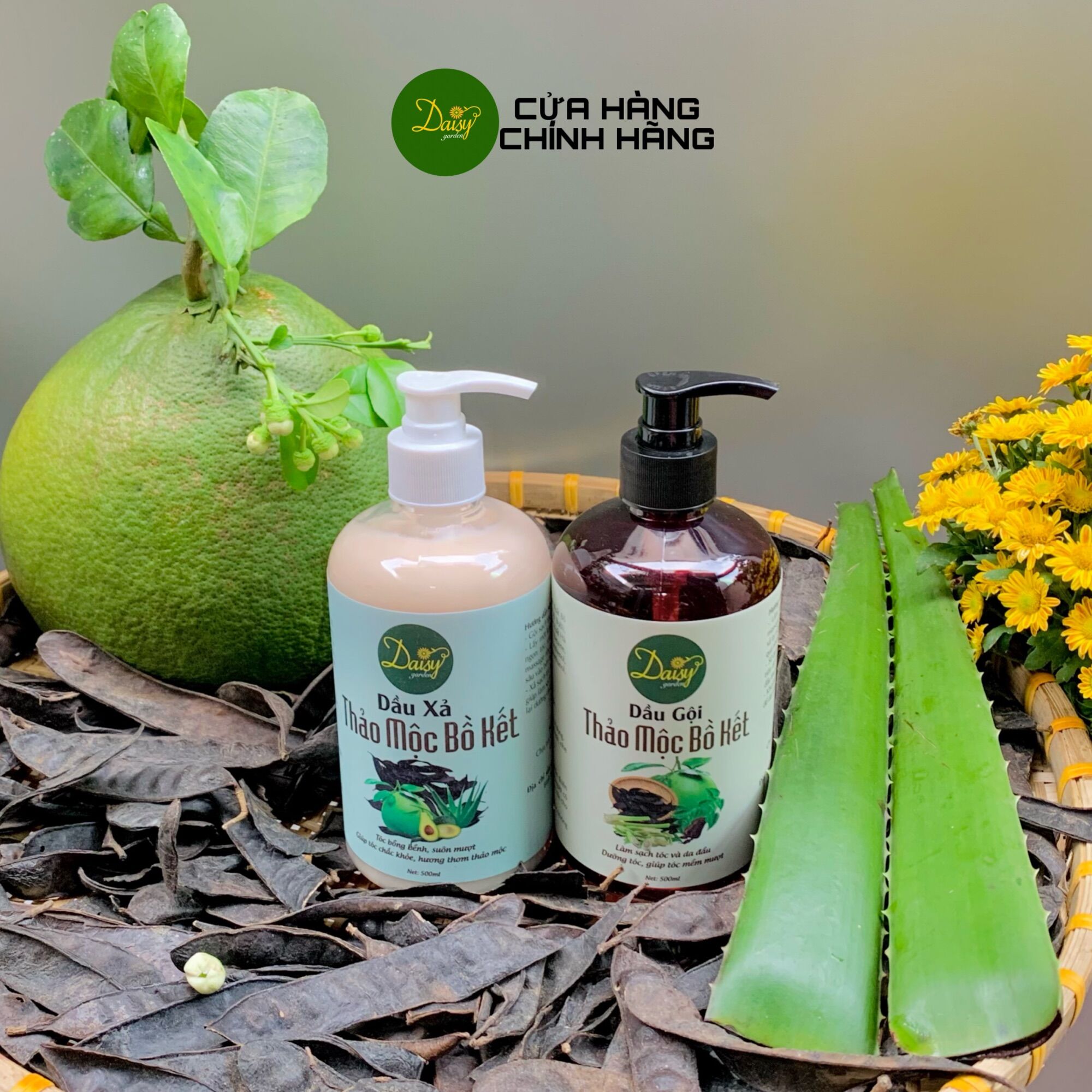 Combo dầu gội và dầu xả thảo mộc bồ kết Daisy Garden chai 500ml