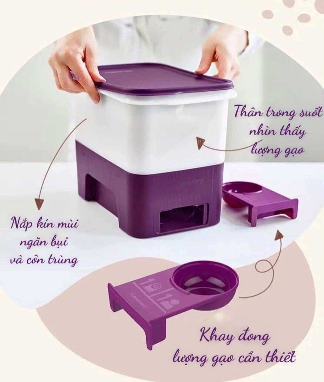 Thùng gạo Junior 5kg - Tupperware chính hãng