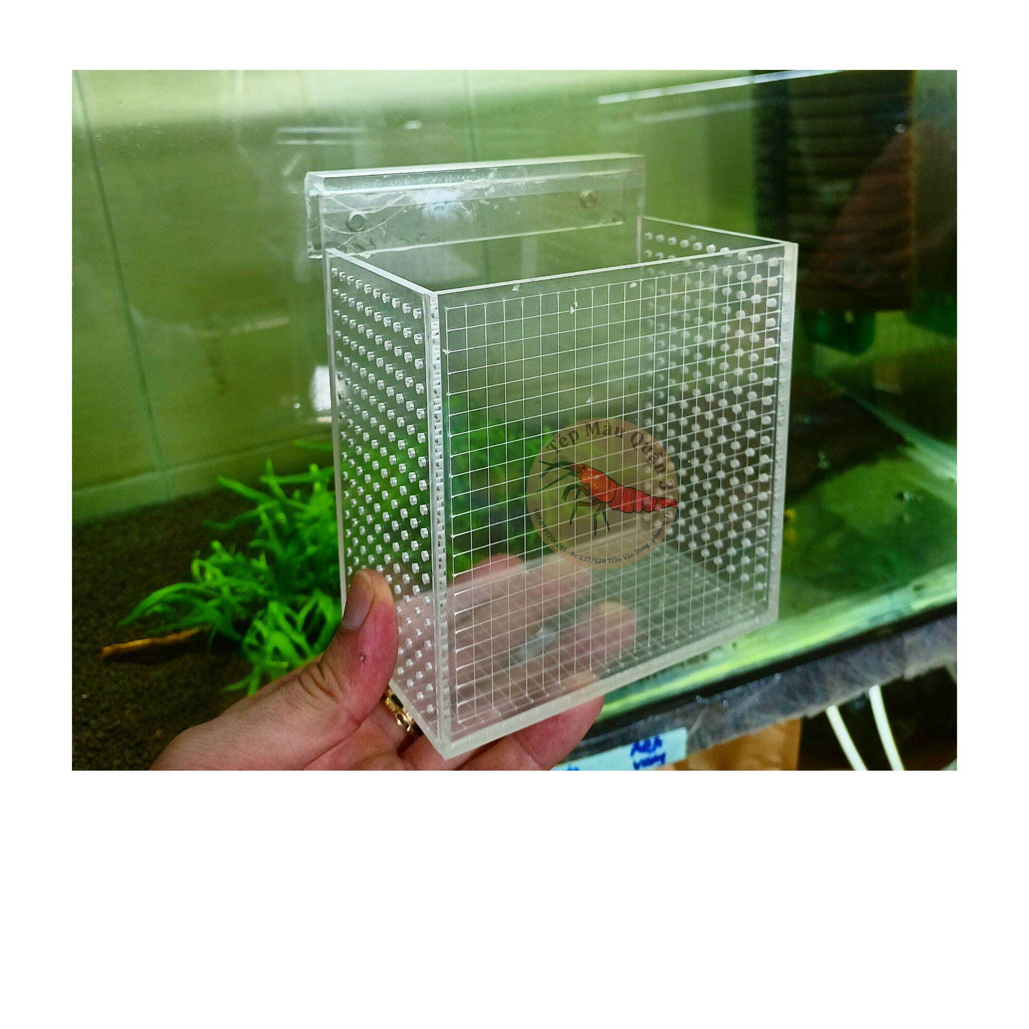 [HCM]Box Dưỡng Cá Tép Bằng Mika - Lồng Show Tép