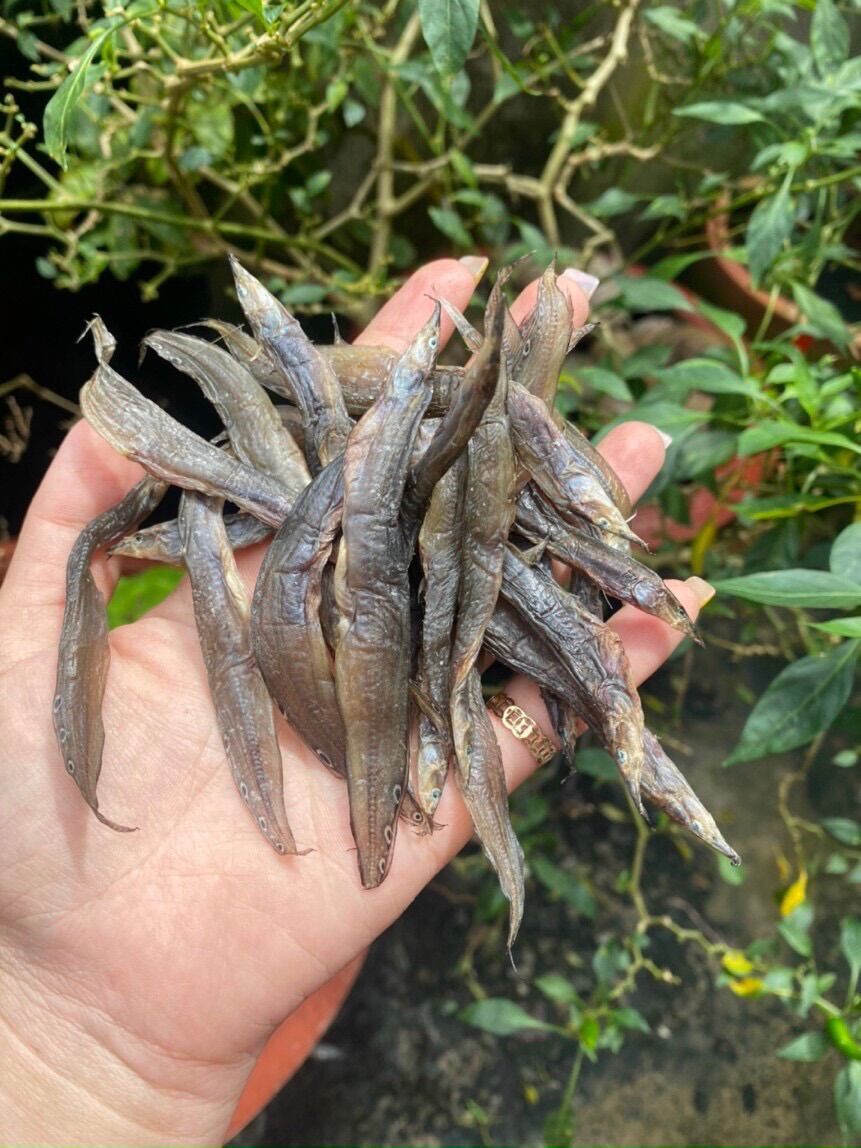 Khô chạch kim sông tự nhiên