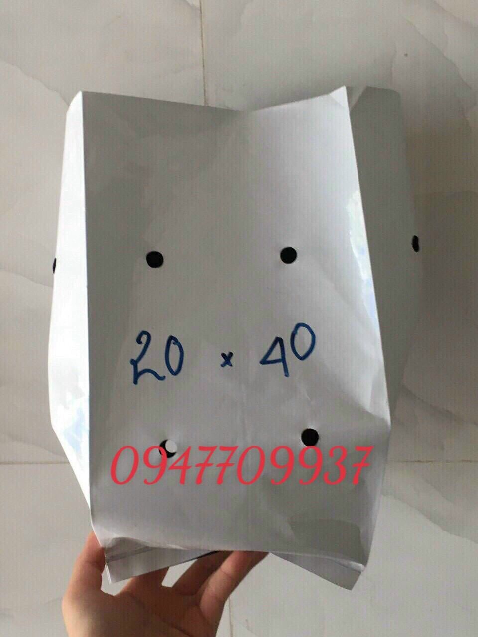 1kg túi pe 20x40 trồng dưa lưới, dưa leo, cà chua, ..