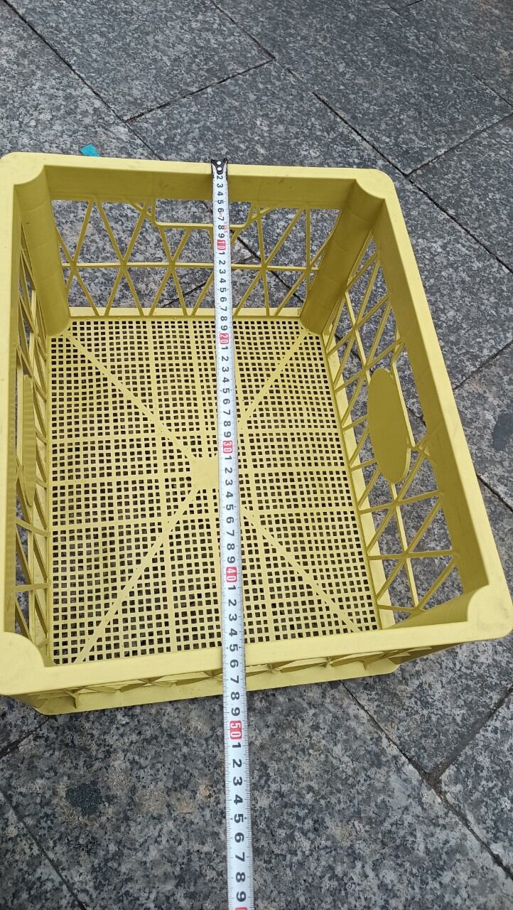 Rổ nhựa đựng sầu riêng