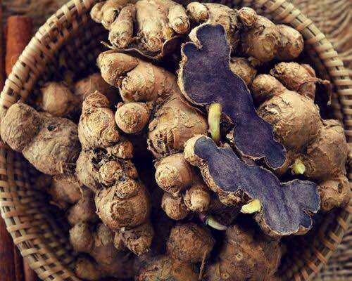 Gừng Đen( ngãi đen,ngãi tím) 100g loại mọc Rừng tự nhiên