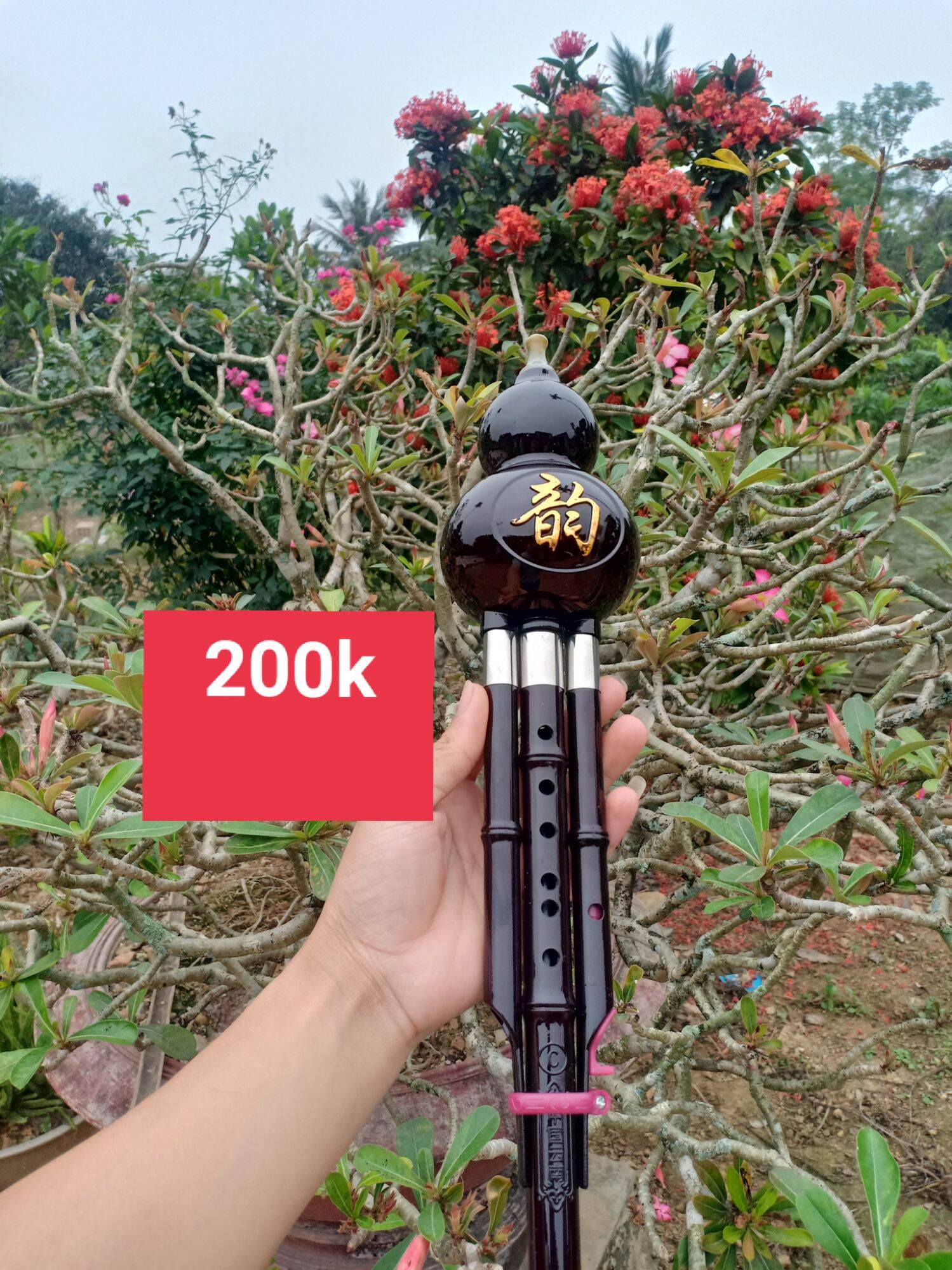 sáo bầu chuẩn âm