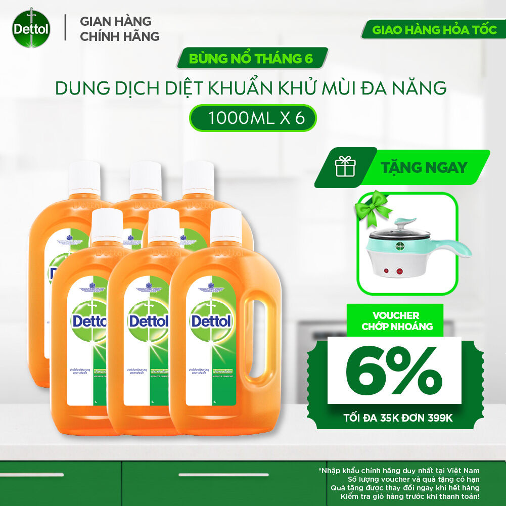 Combo 06 Dung Dịch Diệt Khuẩn Khử Mùi Đa Năng Dettol, Chai 1L