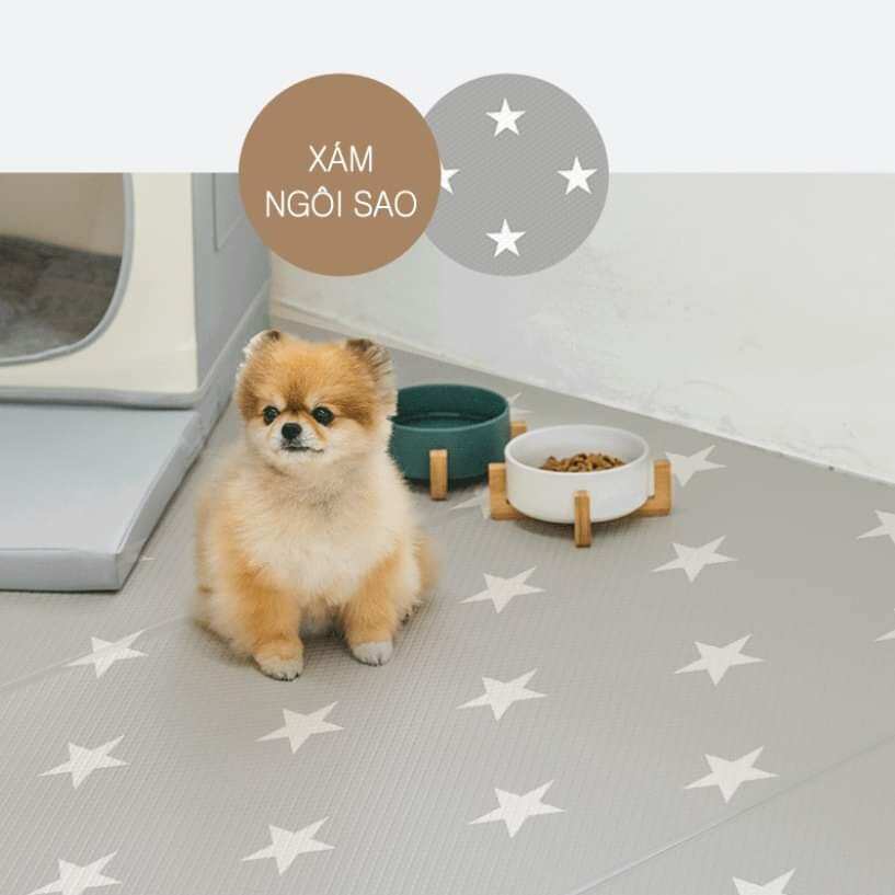 Dfang thảm cao cấp xám ngôi sao bảo vệ xương khớp cho thú cưng