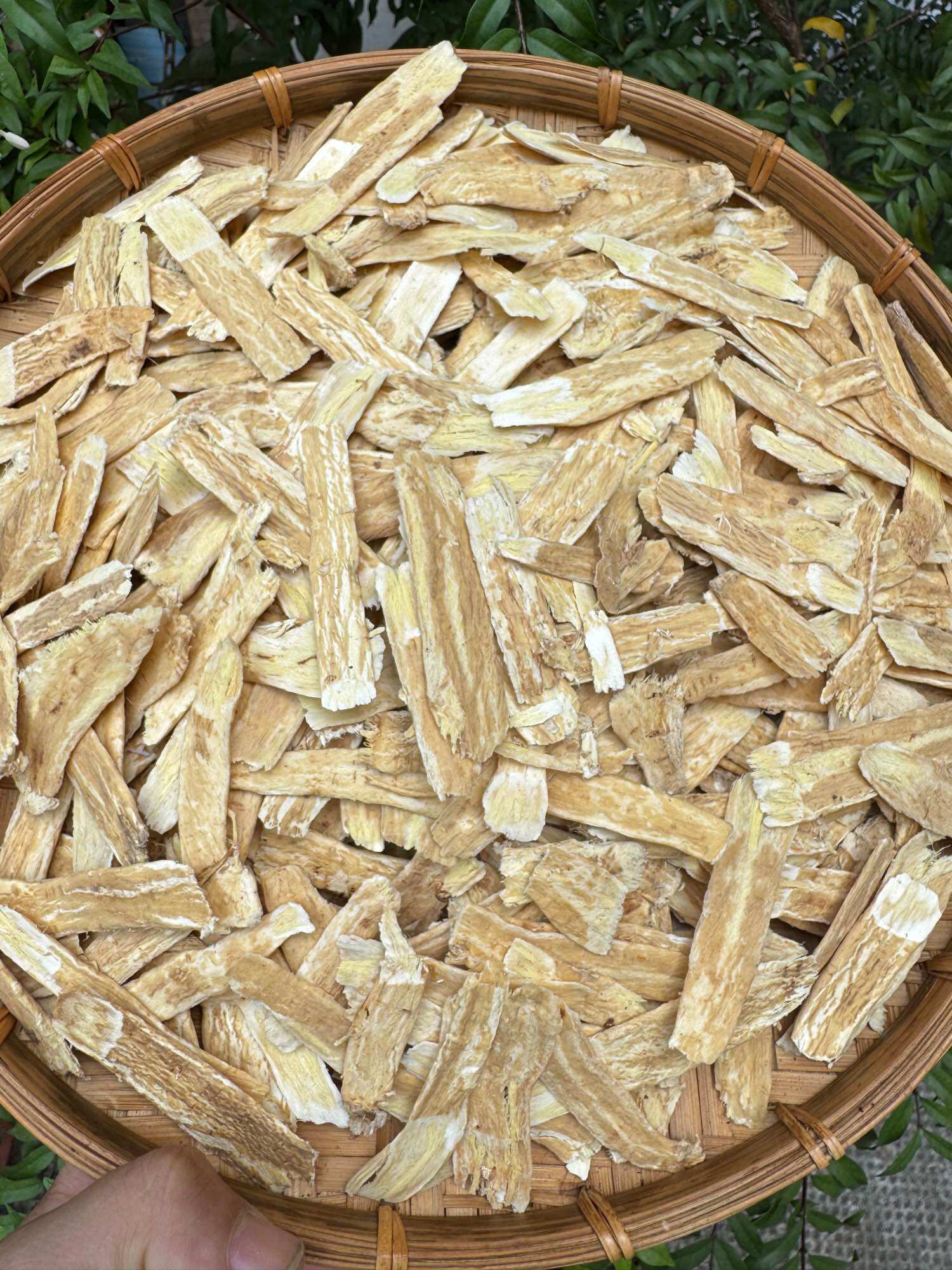[HCM] Hoàng Kỳ -Bắc Kỳ hữu cơ thái lát -100gram