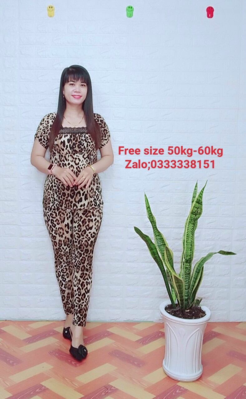 đồ bộ mặc nhà