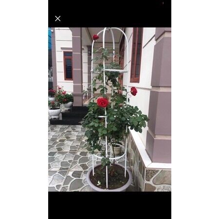 Khung tháp trụ cho cây hoa leo , màu xanh cao 1m8 đường kính 40cm , màu trắng 1m4 đường kính 20cm