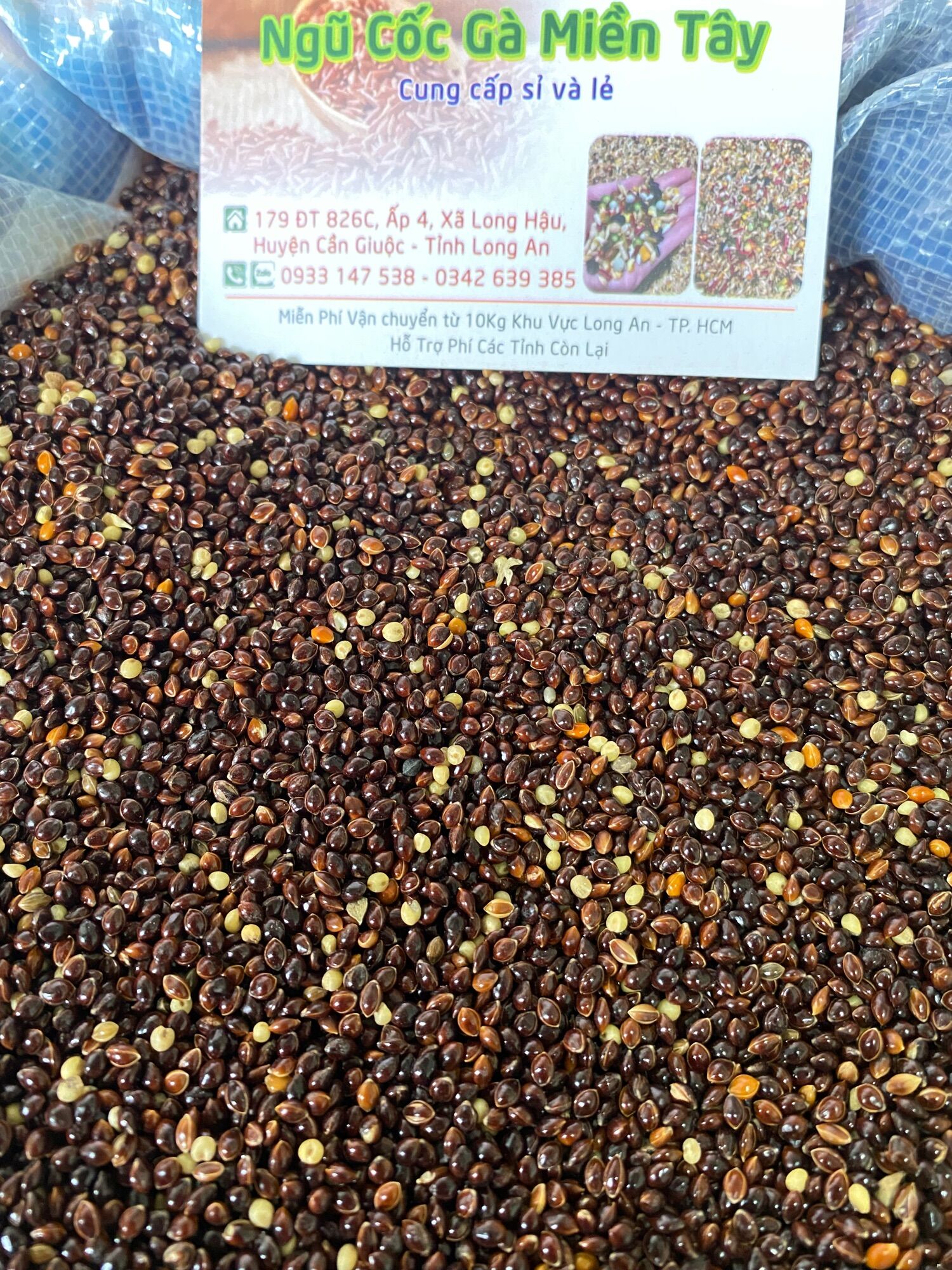 Hạt Ke Bong Den