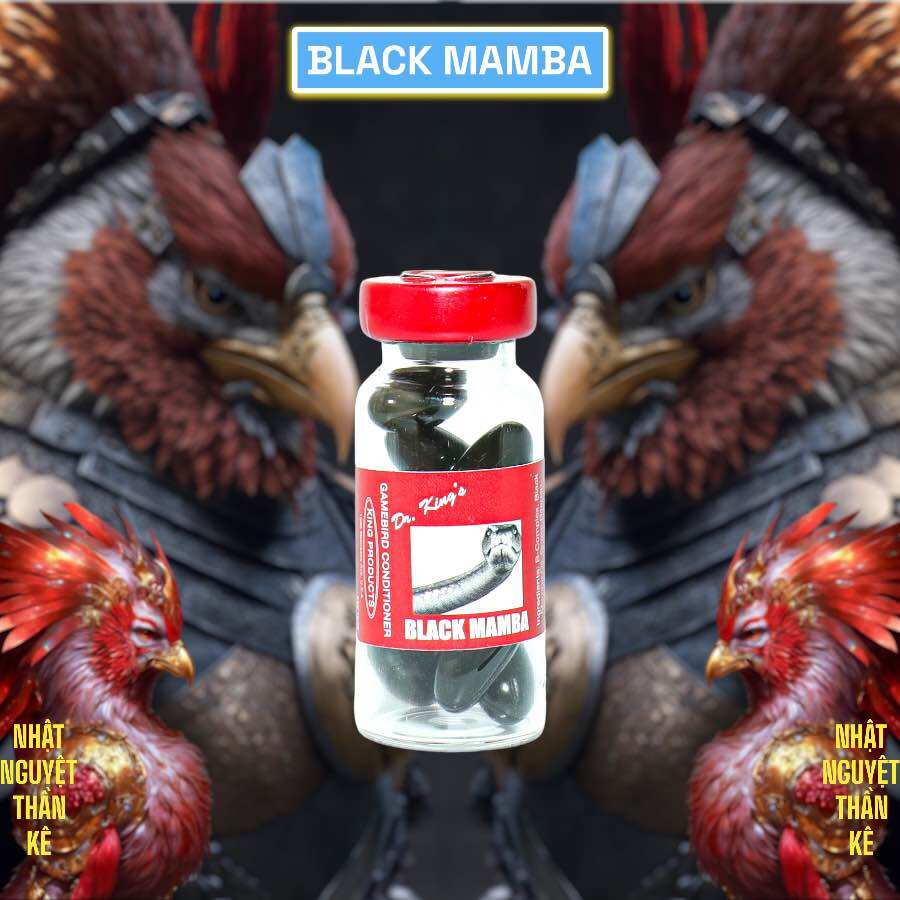 Black mamba nuôi gà tăng bo, tải cựa khủng, gà đá siêu lì nuốt ói tốt