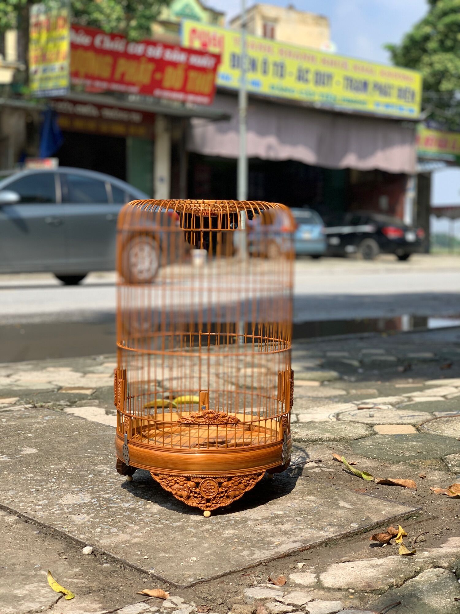 Lồng yến, choè đất đục, lồng cao cấp tặng kèm phụ kiện