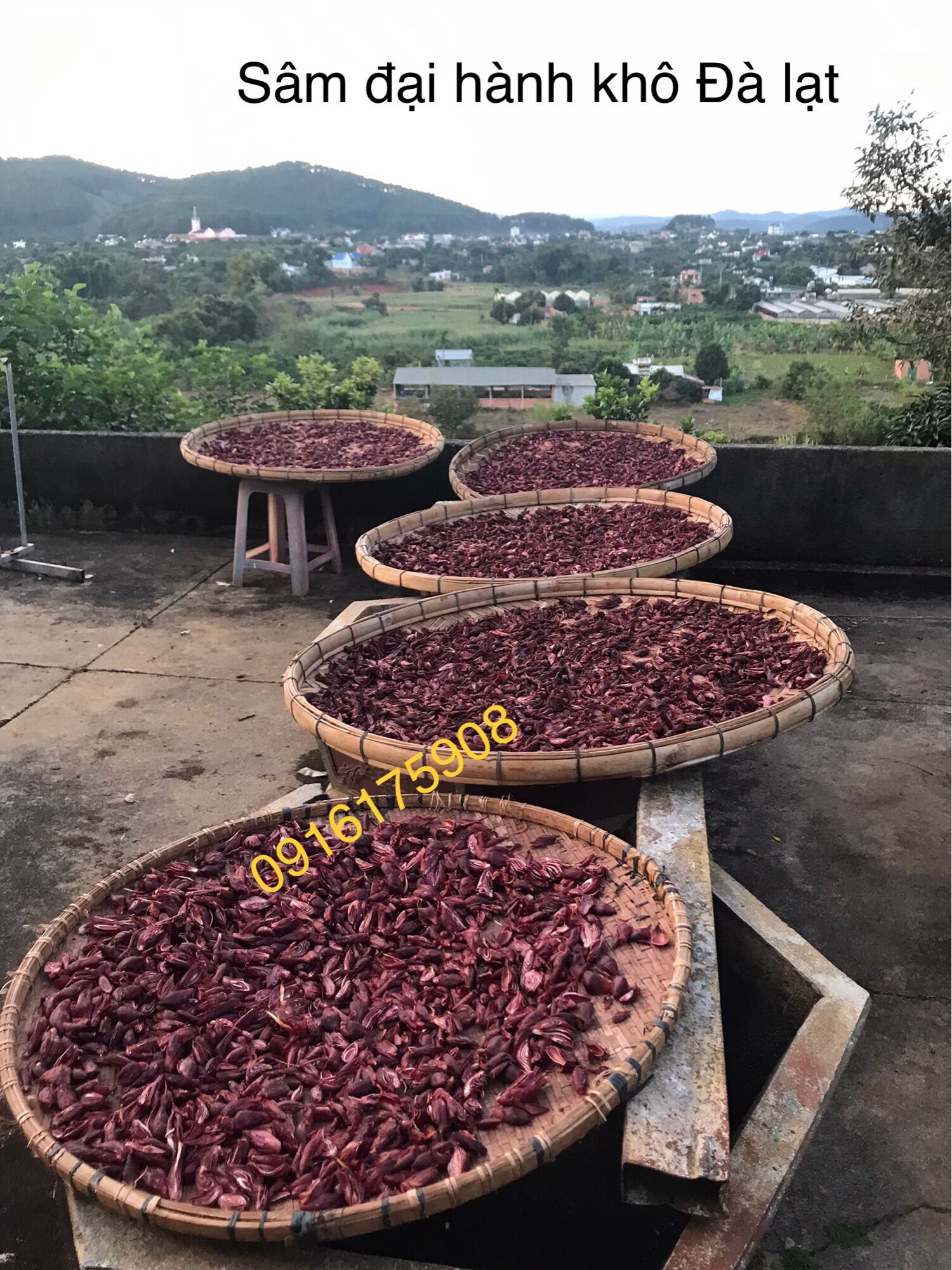 Sâm đại hành khô Đà Lạt 1kg(thái tay)