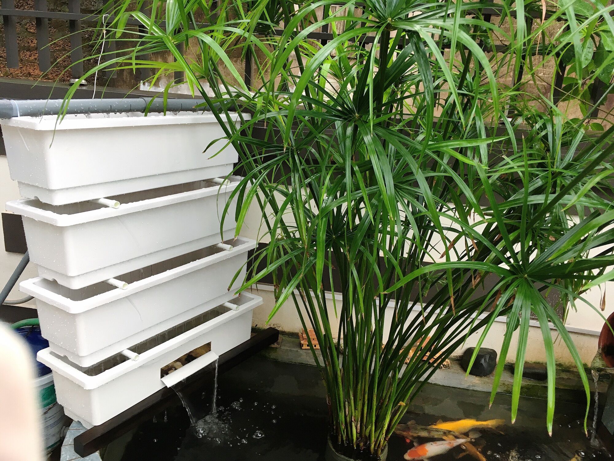 Lọc bể cá dàn baki 4 tầng 48x20x16cm