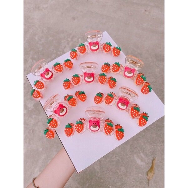 KẸP CÀNG CUA GẤU DÂU LOTSO