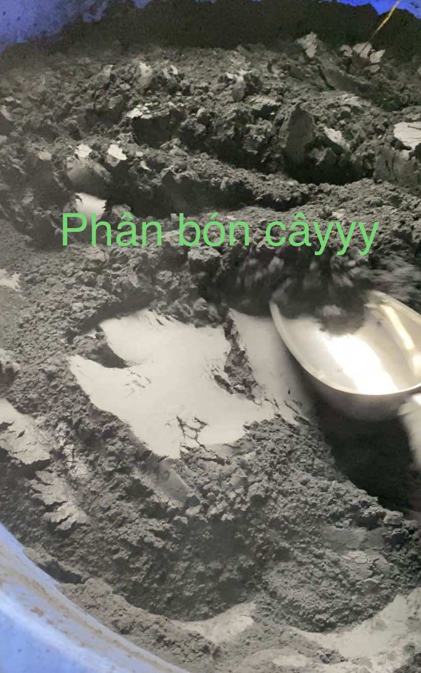 Than xoan xay mịn 1kg