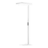 MOON SHADOW | Đèn Bàn Bảo Vệ Mắt