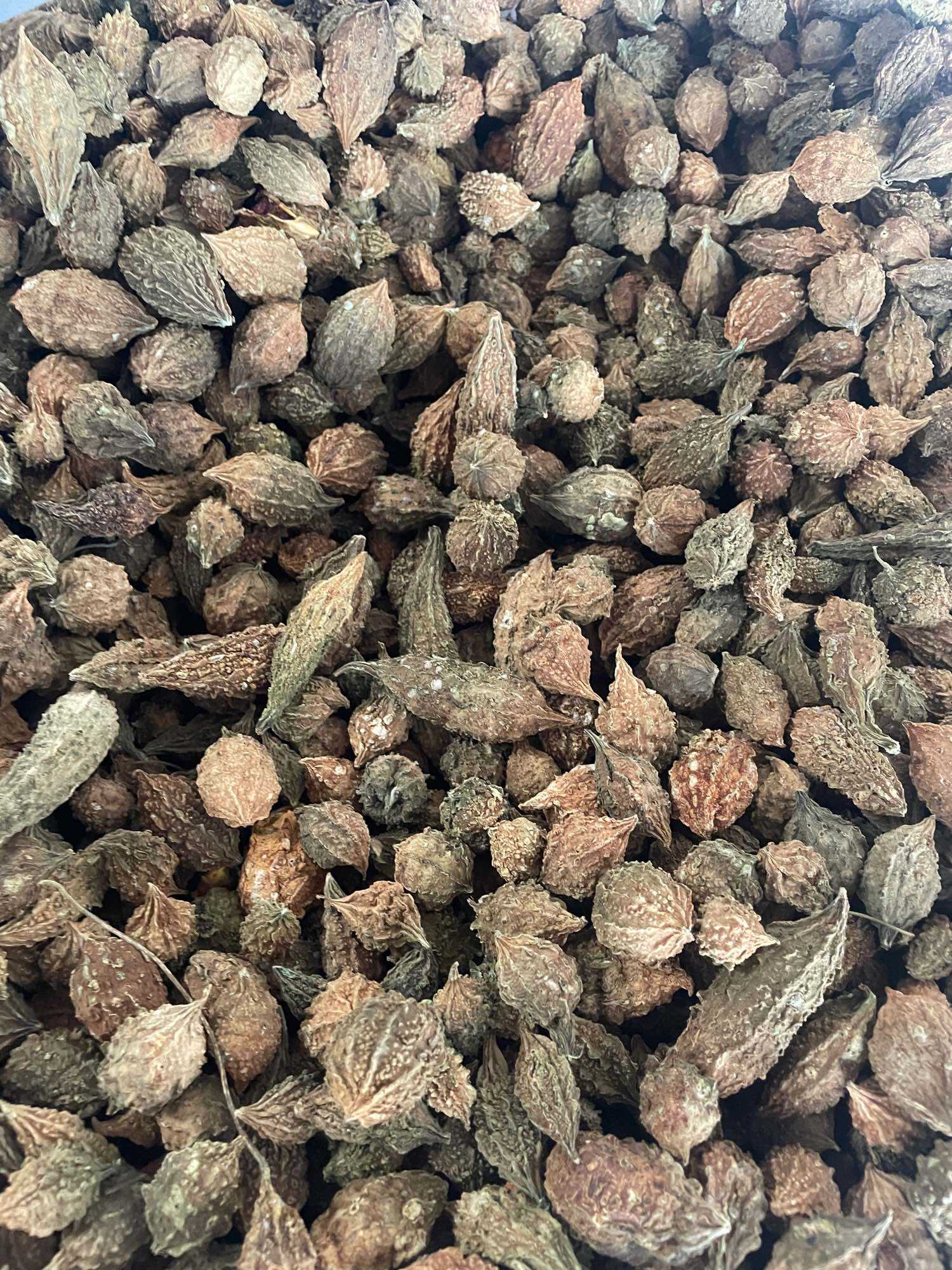 Mướp đắng rung sấy khô nguyên qua 500g