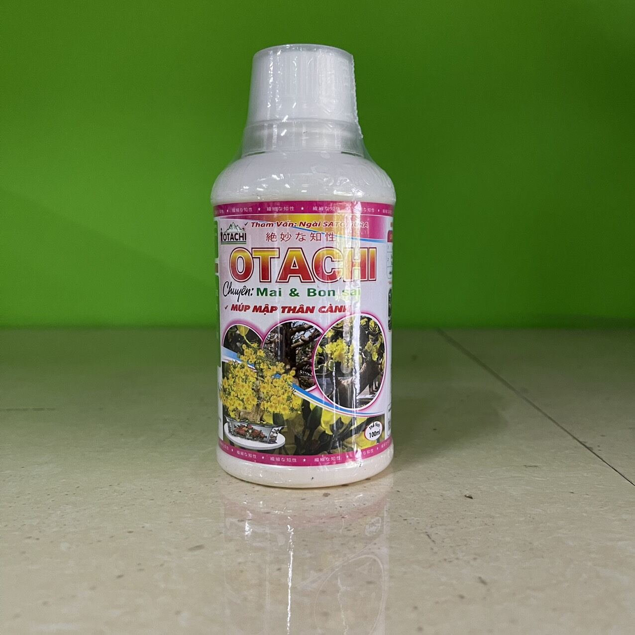 otachi múp mập thân cành 100 ml