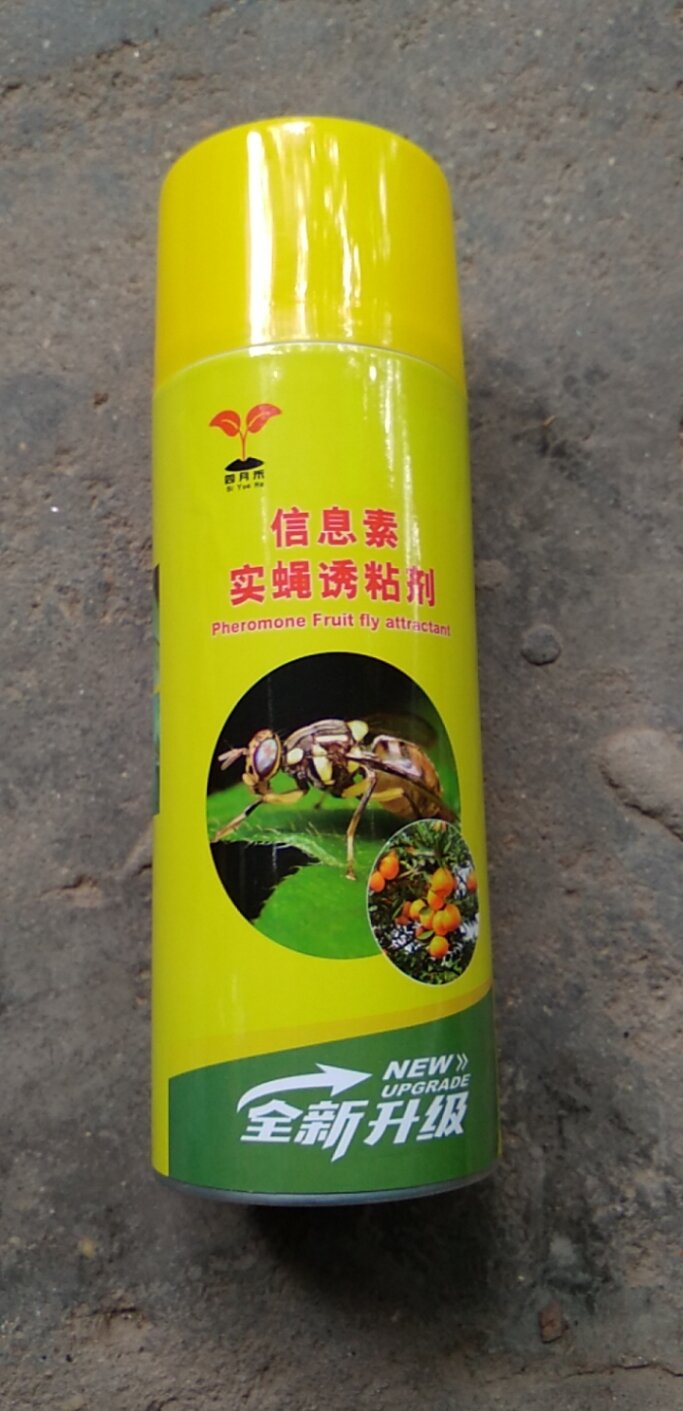 CHAI KEO XỊT BẪY RUỒI VÀNG, CÔN TRÙNG.