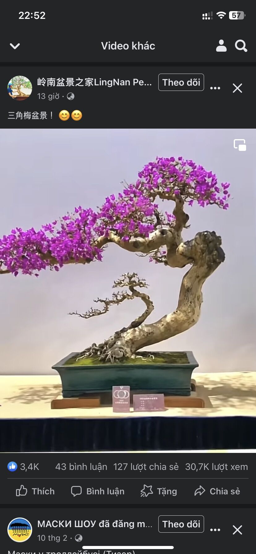 Hoa giấy ngũ sắc