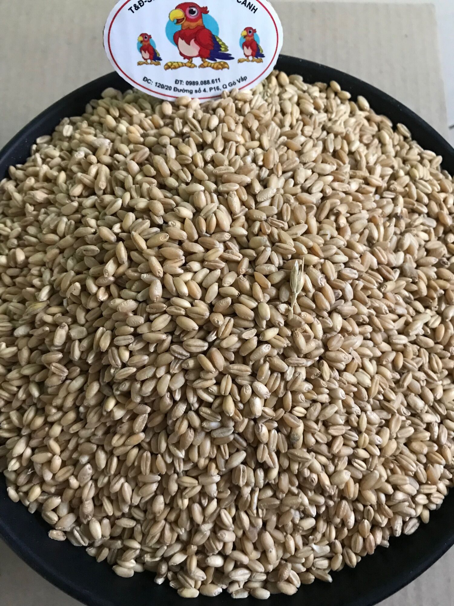 Hạt Lúa mì vàng Thức ăn gia cầm (GÓI 1KG )