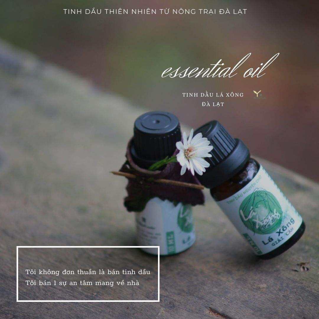 Tinh Dầu Lá Xông - sản phẩm tốt đến từ Đà Lạt