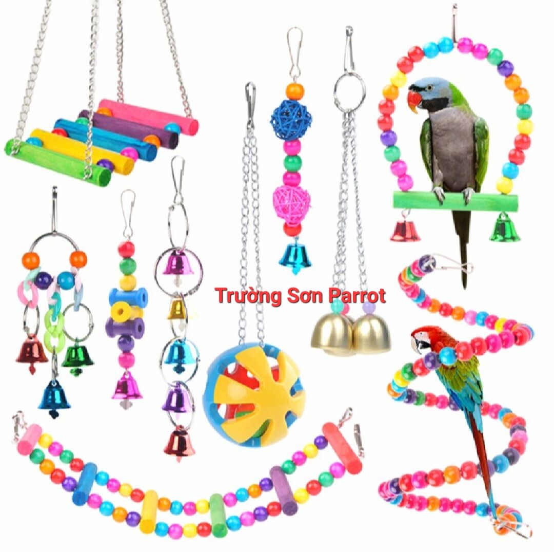  Combo 10 món đồ chơi treo lồng như hình cho vẹt sóc chuột hamster và chim cảnh khác 