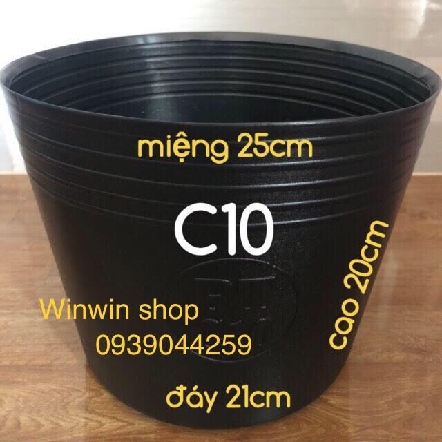 Combo 50 cái chậu C10 trồng cây cảnh