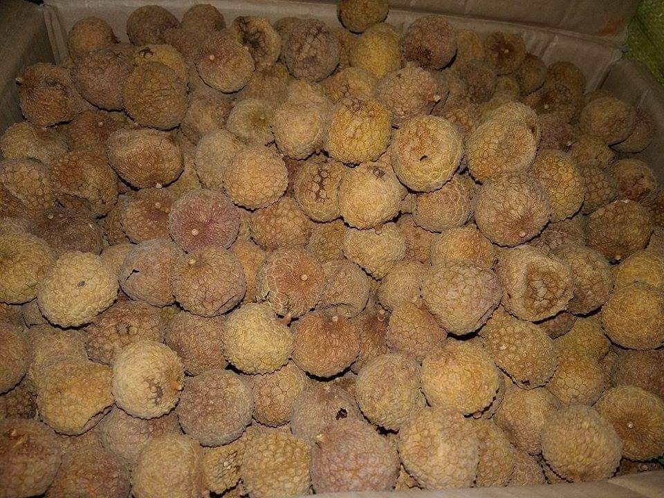 1kg Vải sấy khô Bắc Giang ( Vải sấy năm 2023)