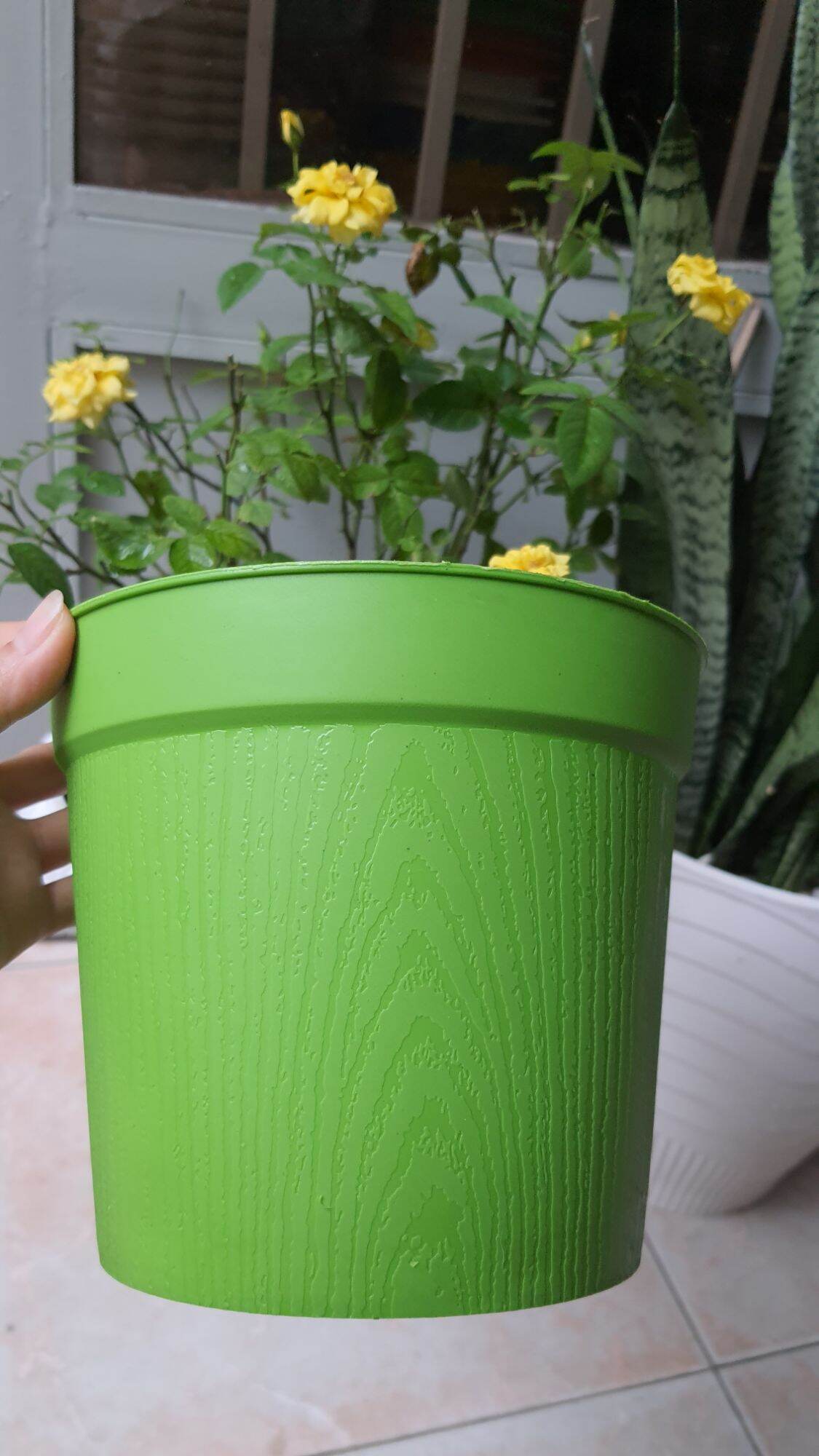 chậu nhựa vân gỗ size 18cm