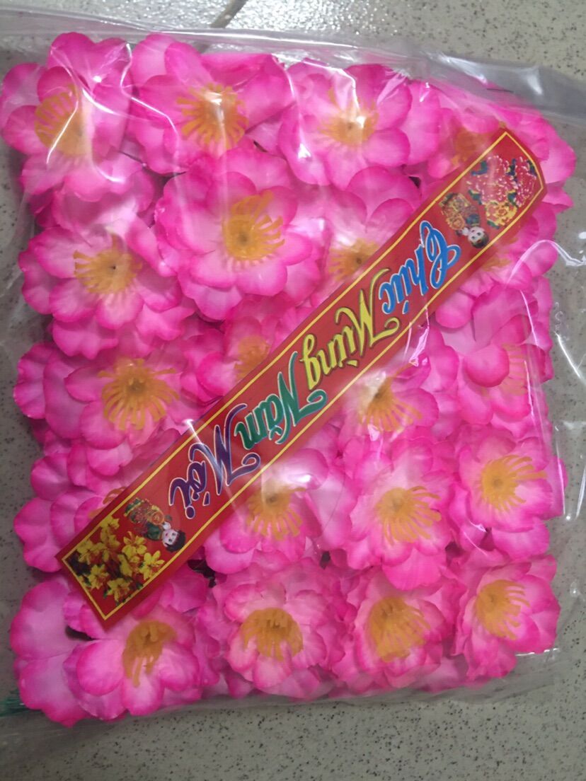[HCM]Hoa mai bịch 40 bông 1 bịch