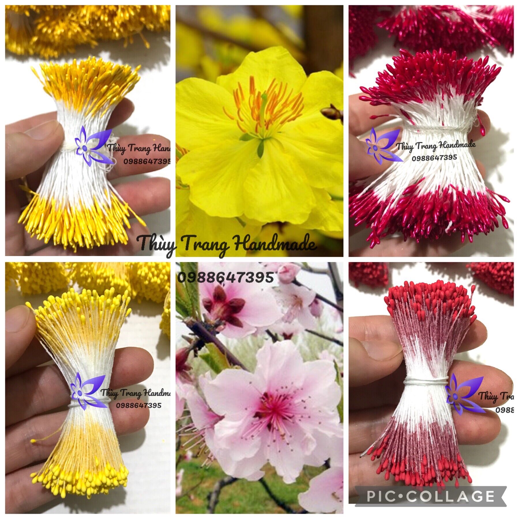 1 bó lớn (330-350 sợi) NHỊ, NHUỴ HOA MAI, NHUỴ HOA ĐÀO