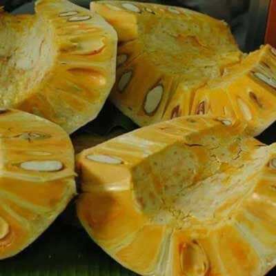 CÂY MÍT NGHỆ MAU TRÁI. CÂY CAO