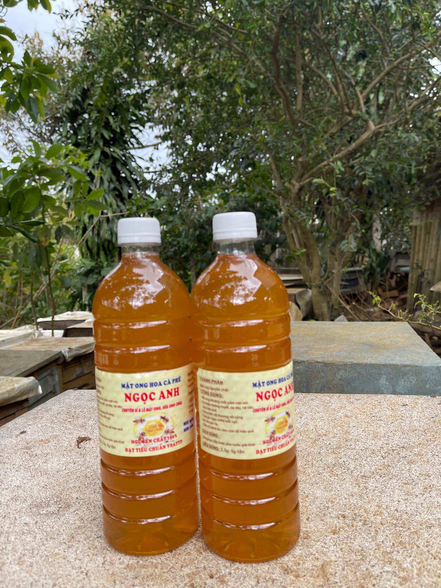 1LÍT mật ong hoa cà phê Bảo Lộc