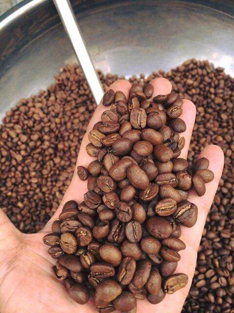 500g cà phê hạt robusta honey nguyên chất rang mộc 100%