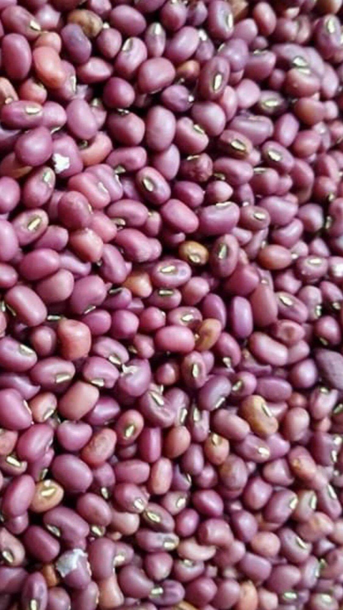 ĐẬU ĐỎ SẠCH ĐĂKLĂK 1kg
