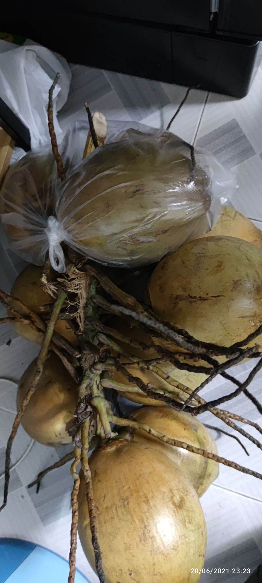 [HCM]Dừa xiêm nguyên trái siêu ngọt