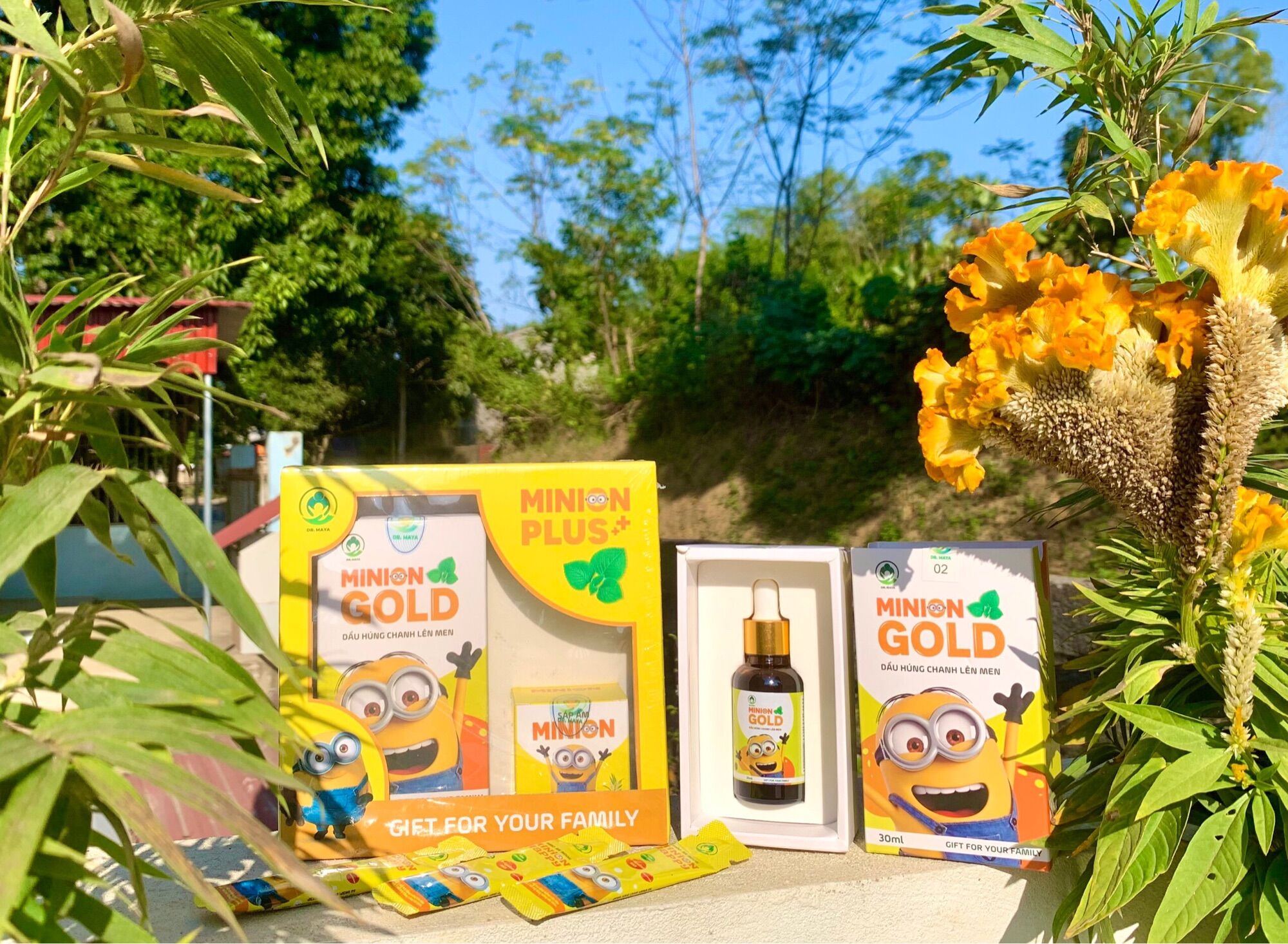 [HCM]COMBO DẦU HÚNG CHANH MINION PLUS